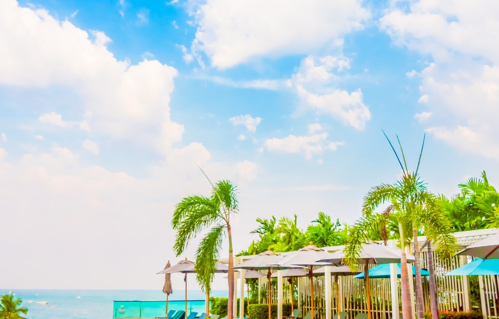 The Art of Hospitality: Elevating Guest Satisfaction Through Personalized Services